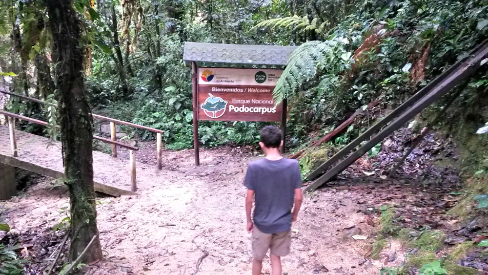 Podocarpus National Park - Zamora Ecuador