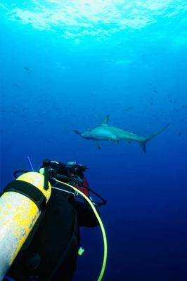 Galapagos Experience