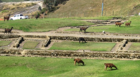 Ingapirca