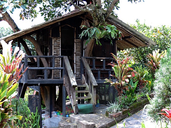 Tree House at Jardines de Chamana