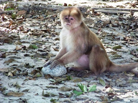 Misahualli Ecuador