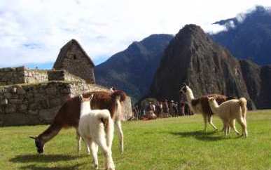 Visit Peru