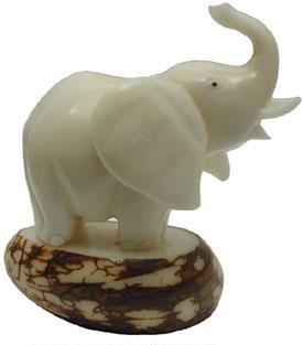 Tagua Art