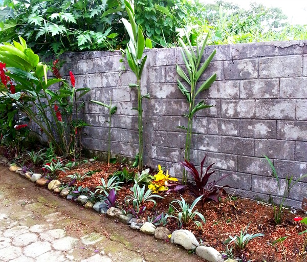 Large lot in Las Palmas, Tena, Ecuador