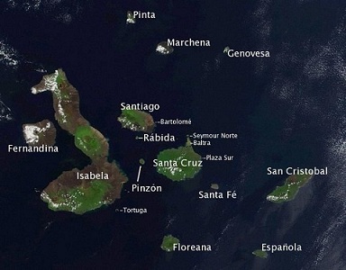 The Galapagos Islands