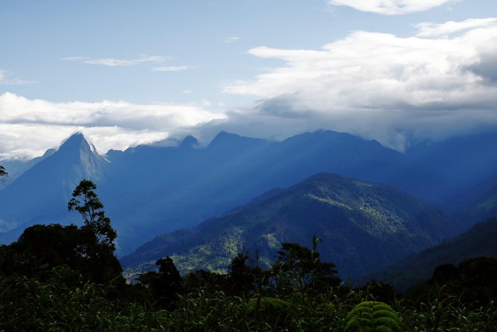 Morona Santiago Province - Ecuador - Near San Juan Bosco