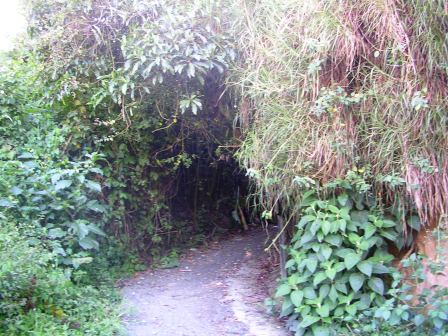 Hiking path around Baños Ecuador