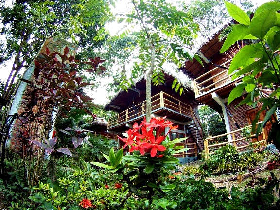 Bromelia Nature Lodge - Montanita Ecuador