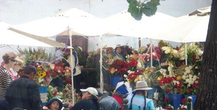 Cuenca Flower Market