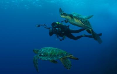 The Galapagos Islands