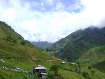 Rice Fields around Macará