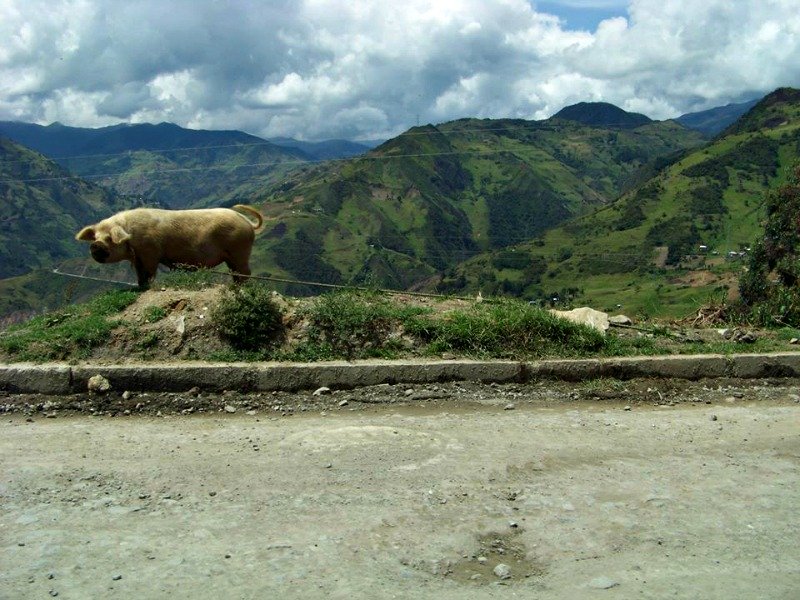 Beautiful Ecuador