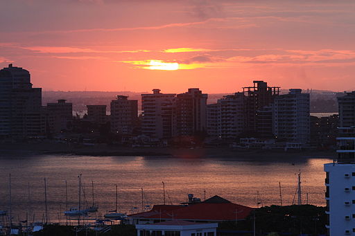By Bonsairolex (Own work) [CC-BY-SA-3.0 (http://creativecommons.org/licenses/by-sa/3.0)], via Wikimedia Commons