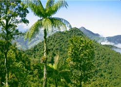 Ecuador Scenery