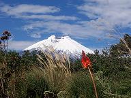 Cotopaxi Volcano on a clear day